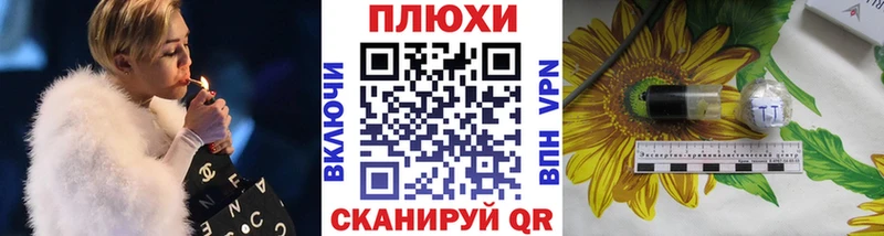 ссылка на мегу вход Мураши Гашиш Изолятор как найти закладки