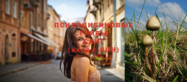 MESCALINE Горнозаводск