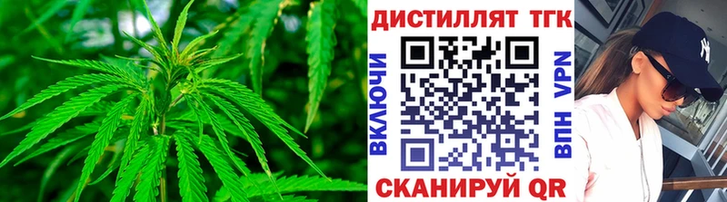 мега онион  Мураши  ТГК концентрат 