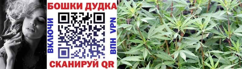 Шишки марихуана конопля  OMG   Мураши 